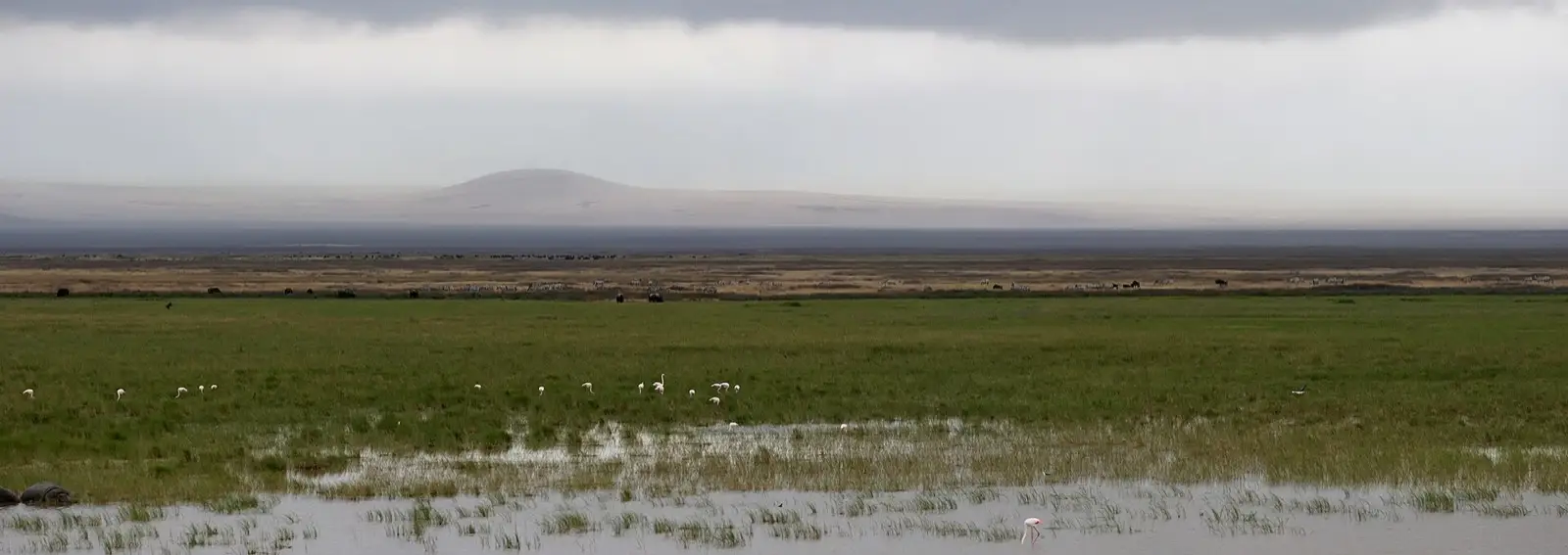 Ngorongoro Crater