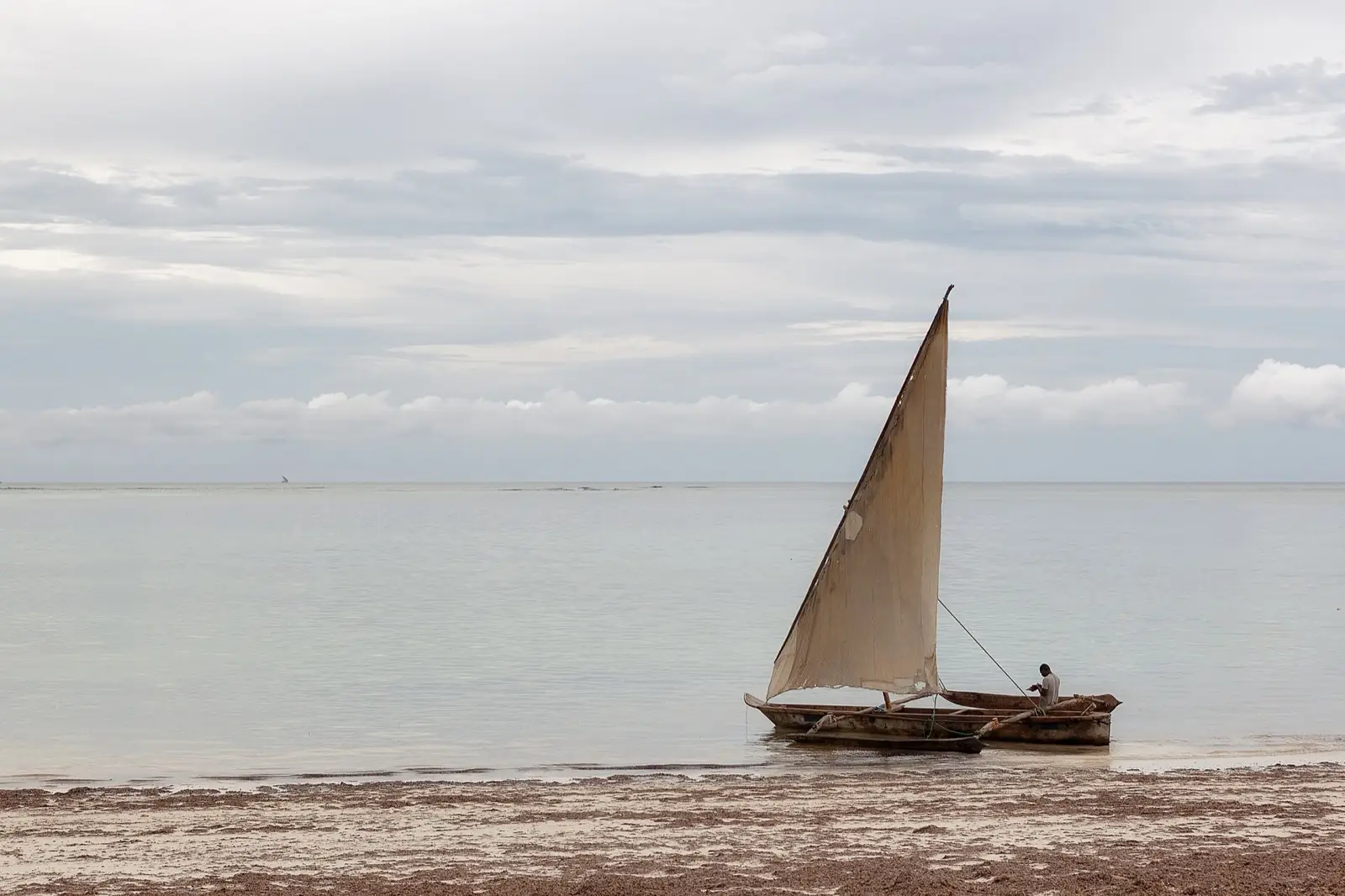 Zanzibar coast